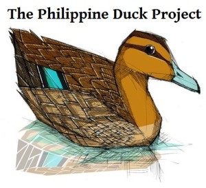 cropped-ph-duck-logo-1.jpg
